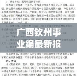 广西钦州事业编最新报考动态：解析与前瞻