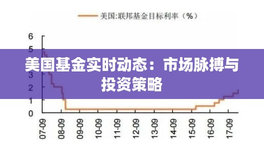 美国基金实时动态：市场脉搏与投资策略