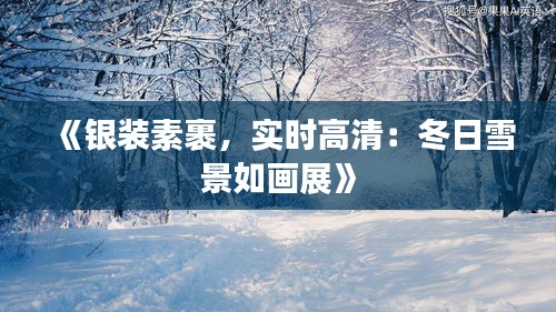 《银装素裹，实时高清：冬日雪景如画展》