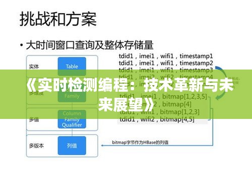 《实时检测编程：技术革新与未来展望》