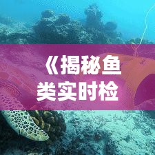 《揭秘鱼类实时检测软件：哪款更胜一筹？》