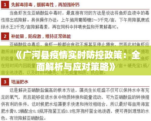 《广河县疫情实时防控政策：全面解析与应对策略》