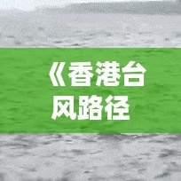 《香港台风路径实时系统：守护市民安全的重要防线》