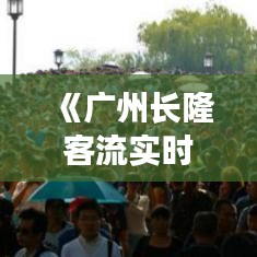 《广州长隆客流实时追踪：人潮涌动，欢乐无限》