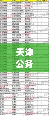 天津公务员报名盛况实时解析：竞争激烈，热门职位抢眼