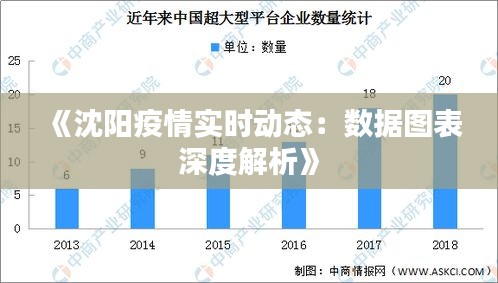 《沈阳疫情实时动态：数据图表深度解析》