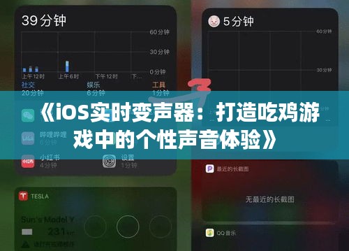 《iOS实时变声器：打造吃鸡游戏中的个性声音体验》