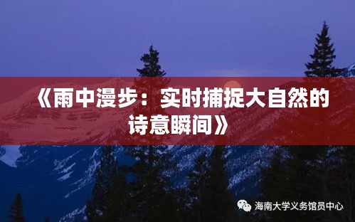 《雨中漫步：实时捕捉大自然的诗意瞬间》