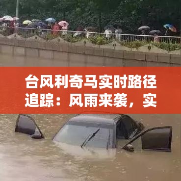 台风利奇马实时路径追踪：风雨来袭，实时路况全解析