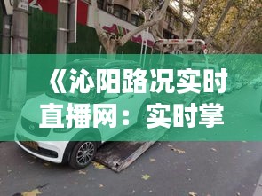 《沁阳路况实时直播网：实时掌握城市交通动态，畅行无阻新体验》