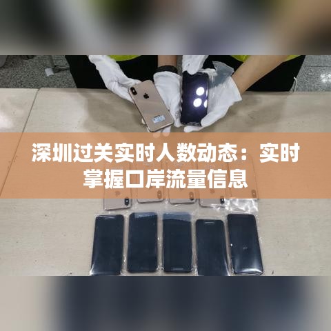 深圳过关实时人数动态：实时掌握口岸流量信息