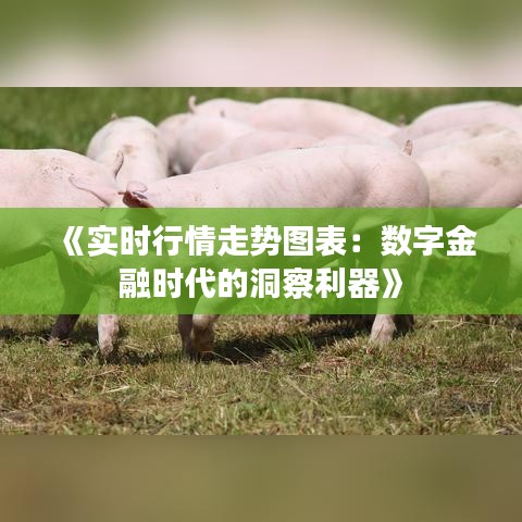 《实时行情走势图表：数字金融时代的洞察利器》