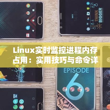 Linux实时监控进程内存占用：实用技巧与命令详解