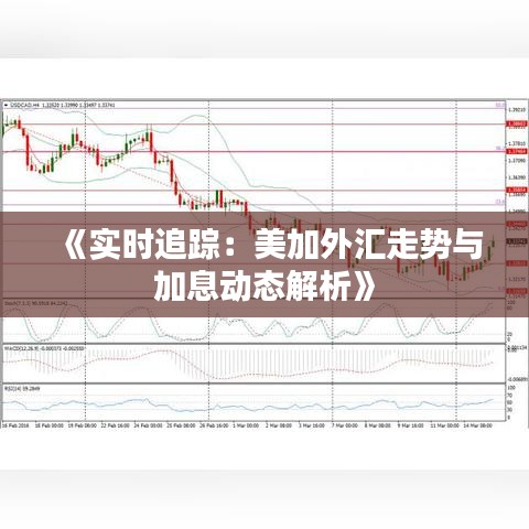 《实时追踪：美加外汇走势与加息动态解析》