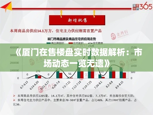 《厦门在售楼盘实时数据解析：市场动态一览无遗》