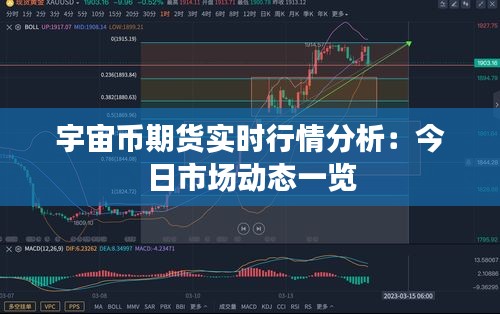 宇宙币期货实时行情分析：今日市场动态一览