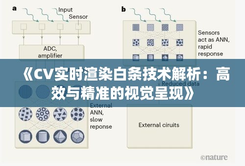 《CV实时渲染白条技术解析：高效与精准的视觉呈现》