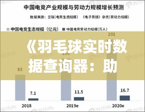 《羽毛球实时数据查询器：助力竞技提升与数据洞察》