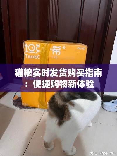 猫粮实时发货购买指南：便捷购物新体验