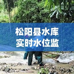 松阳县水库实时水位监测：守护碧水蓝天