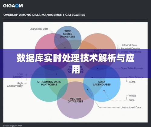 数据库实时处理技术解析与应用