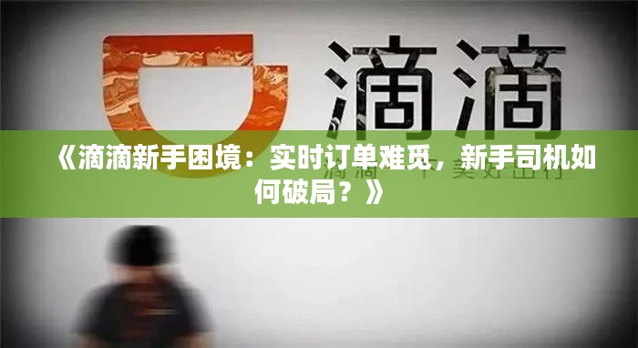 《滴滴新手困境：实时订单难觅，新手司机如何破局？》