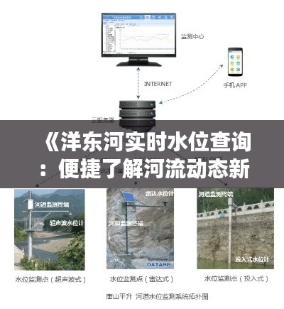 《洋东河实时水位查询：便捷了解河流动态新方式》