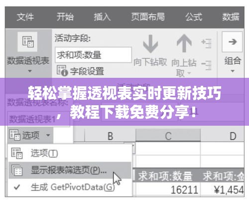 轻松掌握透视表实时更新技巧，教程下载免费分享！