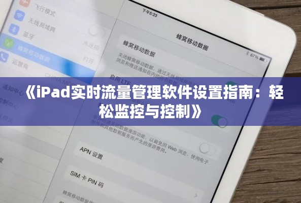 《iPad实时流量管理软件设置指南：轻松监控与控制》