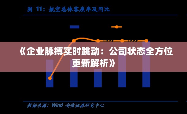 《企业脉搏实时跳动：公司状态全方位更新解析》