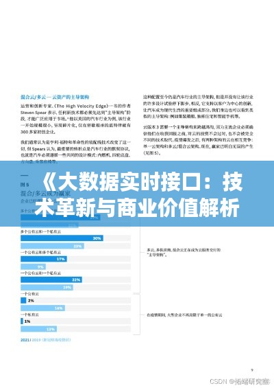 《大数据实时接口：技术革新与商业价值解析》