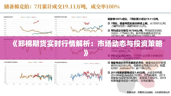 《郑棉期货实时行情解析：市场动态与投资策略》