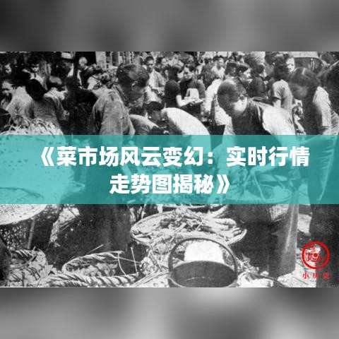 《菜市场风云变幻：实时行情走势图揭秘》