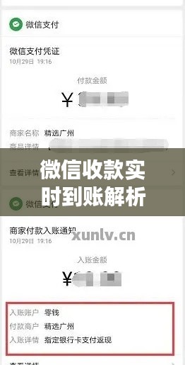 微信收款实时到账解析：速度与安全并存
