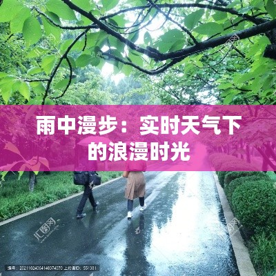 雨中漫步：实时天气下的浪漫时光