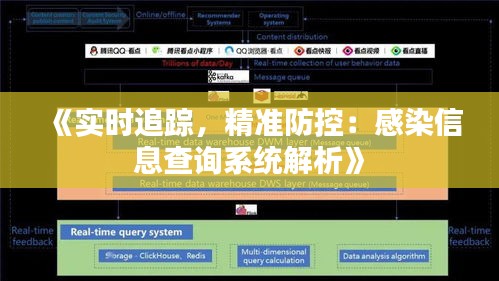 《实时追踪，精准防控：感染信息查询系统解析》