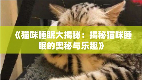 《猫咪睡眠大揭秘：揭秘猫咪睡眠的奥秘与乐趣》