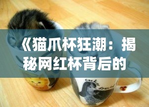 《猫爪杯狂潮：揭秘网红杯背后的魅力与争议》