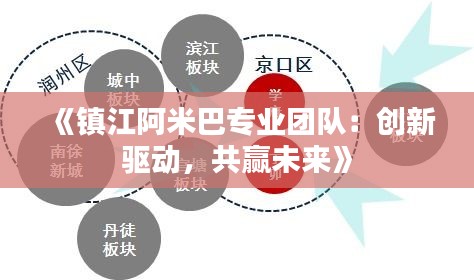 《镇江阿米巴专业团队：创新驱动，共赢未来》