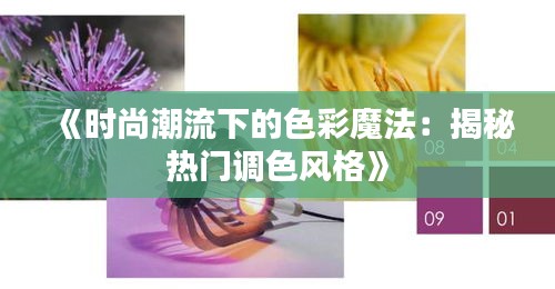 《时尚潮流下的色彩魔法：揭秘热门调色风格》