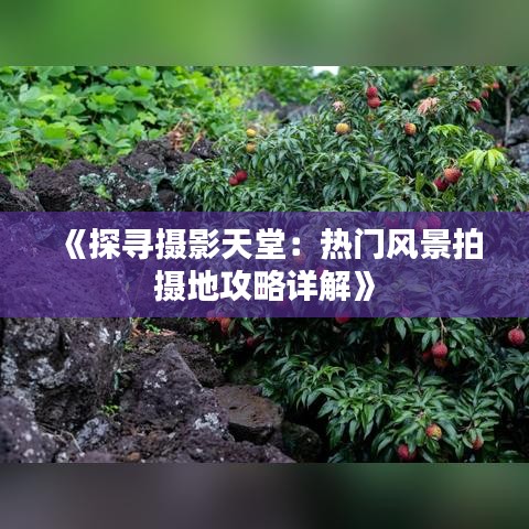 《探寻摄影天堂：热门风景拍摄地攻略详解》