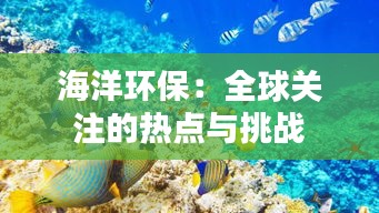 海洋环保：全球关注的热点与挑战