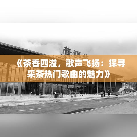 《茶香四溢，歌声飞扬：探寻采茶热门歌曲的魅力》