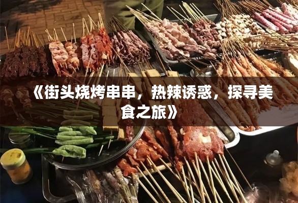 《街头烧烤串串，热辣诱惑，探寻美食之旅》