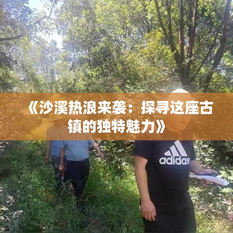 《沙溪热浪来袭：探寻这座古镇的独特魅力》