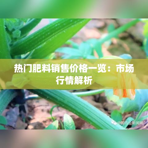 热门肥料销售价格一览：市场行情解析