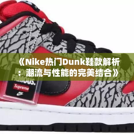 《Nike热门Dunk鞋款解析：潮流与性能的完美结合》