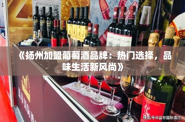 《扬州加盟葡萄酒品牌：热门选择，品味生活新风尚》