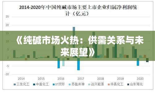 《纯碱市场火热：供需关系与未来展望》