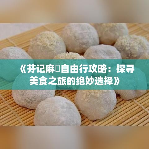 《芬记麻糬自由行攻略：探寻美食之旅的绝妙选择》